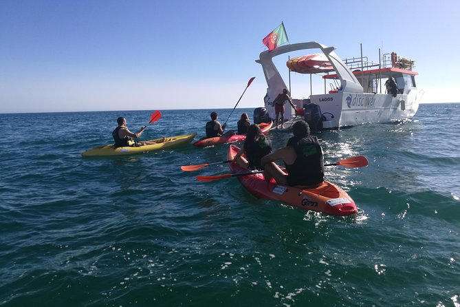 2-hour Kayak Tour of Ponta da Piedade Caves and Beaches - Gear, Safety, and How First-Time Paddling Really Works