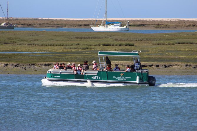 4 Stops | 3 Islands & Ria Formosa Natural Park - From Faro - Oyster culture observation: what you learn from watching rather than touring