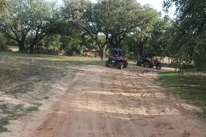 Albufeira 1.5 hour Off-Road Tour Buggy Adventure Tour - What You Pay for (and where the value really shows)