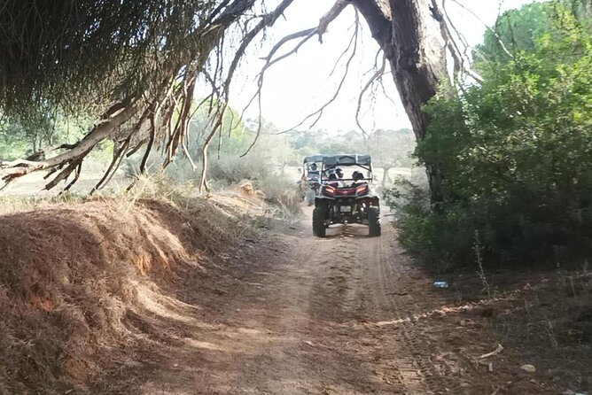 Albufeira 1.5 hour Off-Road Tour Buggy Adventure Tour - Should You Book This Albufeira Buggy Adventure?