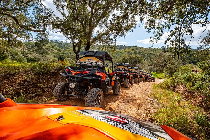 Albufeira: 1.5h Off-Road Buggy Tour - Dirt & Scenic Trails - Medieval Bridge Stop: Ponte Medieval de Paderne