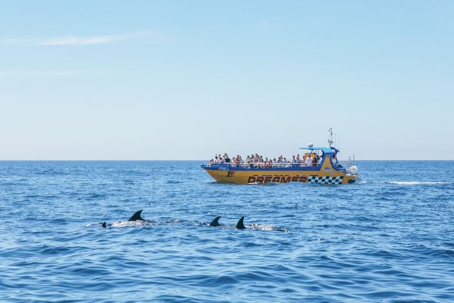 Albufeira: 2.5-Hour Benagil Caves & Dolphin Watching - The Swim Stop: Worth Packing For, but Only When the Sea Allows It