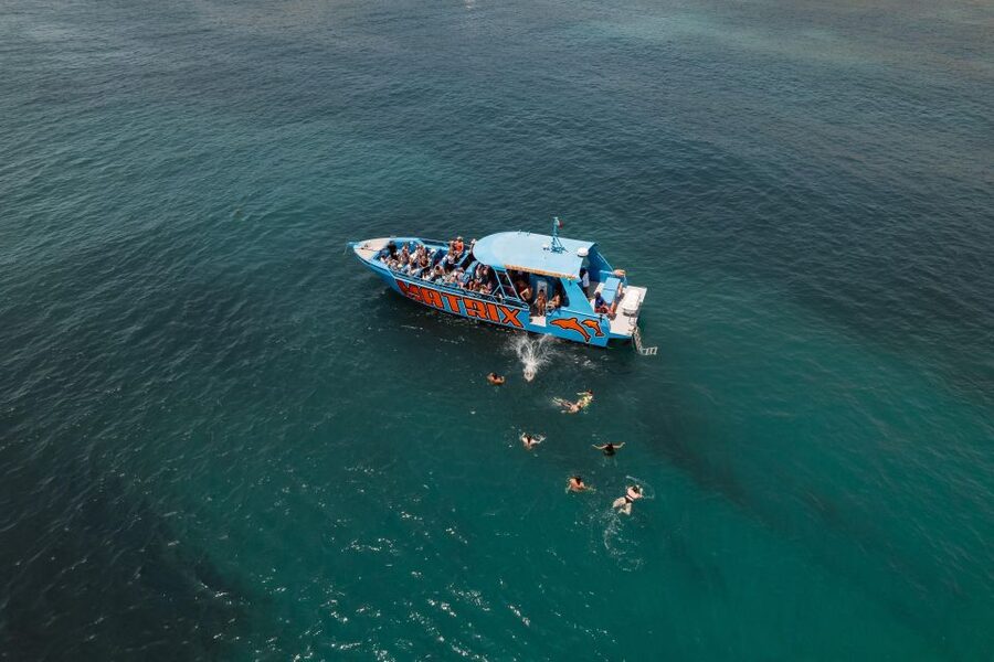 Albufeira: 2.5-Hour Dolphin Watching and Caves Trip - Who this tour suits best, and who should skip it