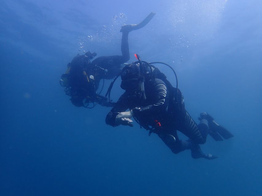 Albufeira: 2 DIVES TRIP (ONLY CERTIFIED DIVERS) - Key Highlights You’ll Care About