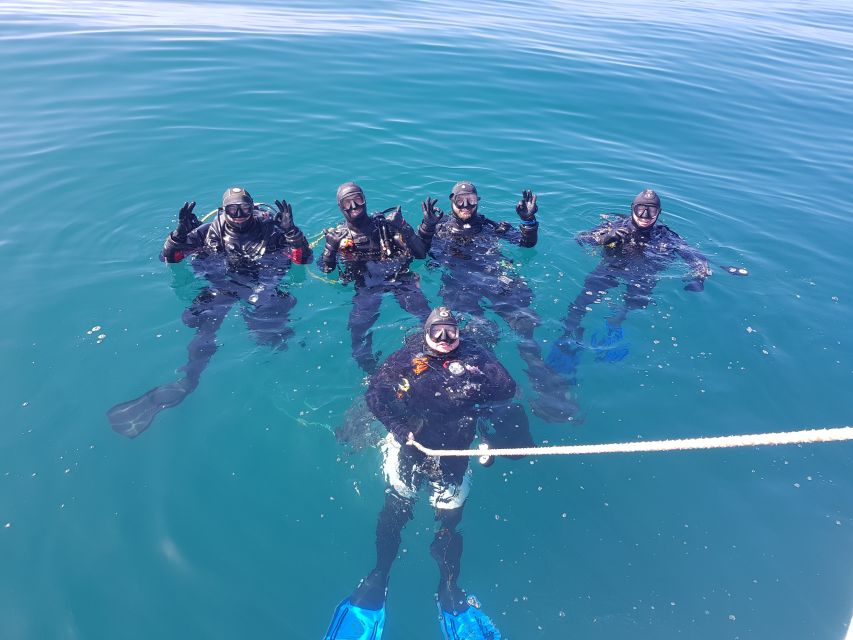 Albufeira: 2 DIVES TRIP (ONLY CERTIFIED DIVERS) - Marina de Albufeira, Boat Time, and the Pace of the Morning