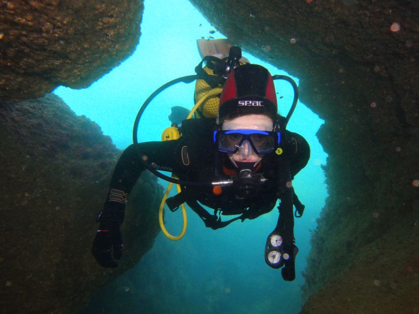 Albufeira: 2 DIVES TRIP (ONLY CERTIFIED DIVERS) - Two Underwater Sessions: Natural Reef and Artificial Reef in One Trip