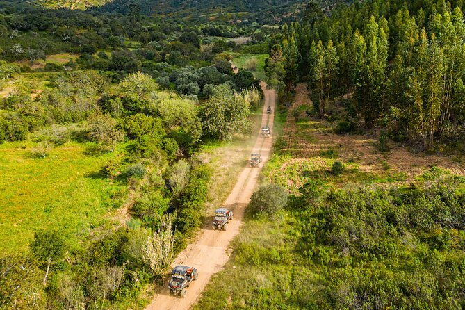 Albufeira: 3-Hour Off-Road Buggy Tour to Hidden Algarve Trails - Stop 1 at Paderne Castle: Heritage First, Then the Dirt