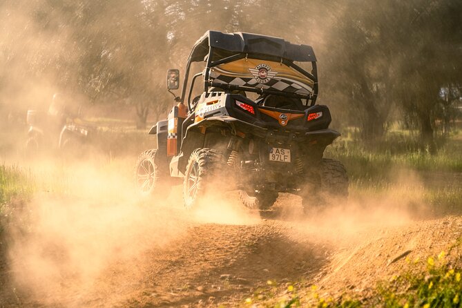 Albufeira: 3-Hour Off-Road Buggy Tour to Hidden Algarve Trails - Buggy Rules: Full Driver’s License and the Real Cost of Sharing the Wheel