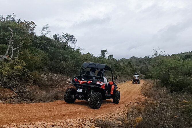 Albufeira 3 hour Off-Road Tour Buggy Adventure Tour - Stop One: Goji Farm Break for Local Flavor