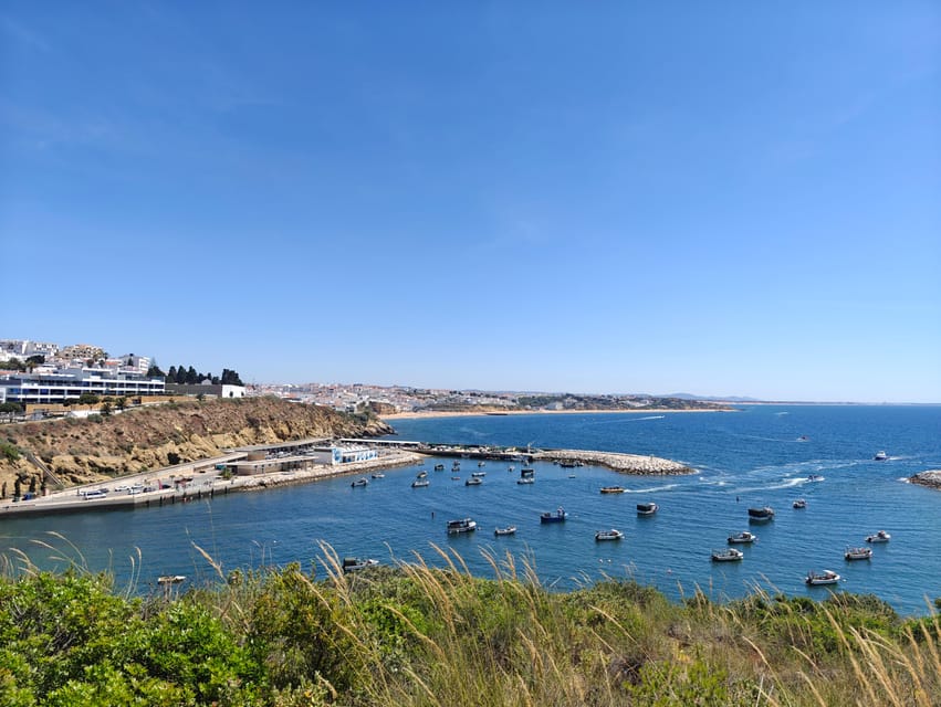Albufeira: Albufeira Marina & west coast Tour 1.5h - Quick take on what makes this tour worth your time