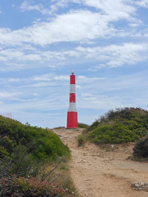 Albufeira: Albufeira Marina & west coast Tour 1.5h - How the guide experience shapes your enjoyment