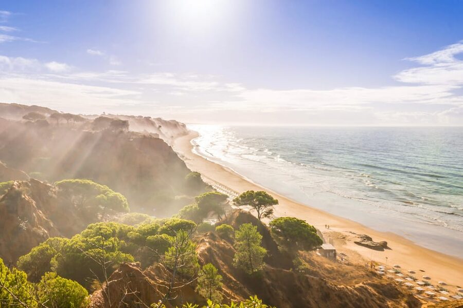 Albufeira: Beach, Old Town & Falesia Electric Tuk Tuk Tour - Electric comfort, local guidance, and private-group perks