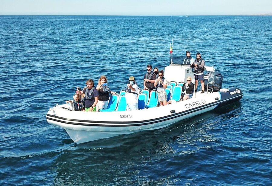 Albufeira: Benagil Cave and Dolphin Sightseeing Boat Cruise - Benagil cave: the main event, with real-world timing and access limits