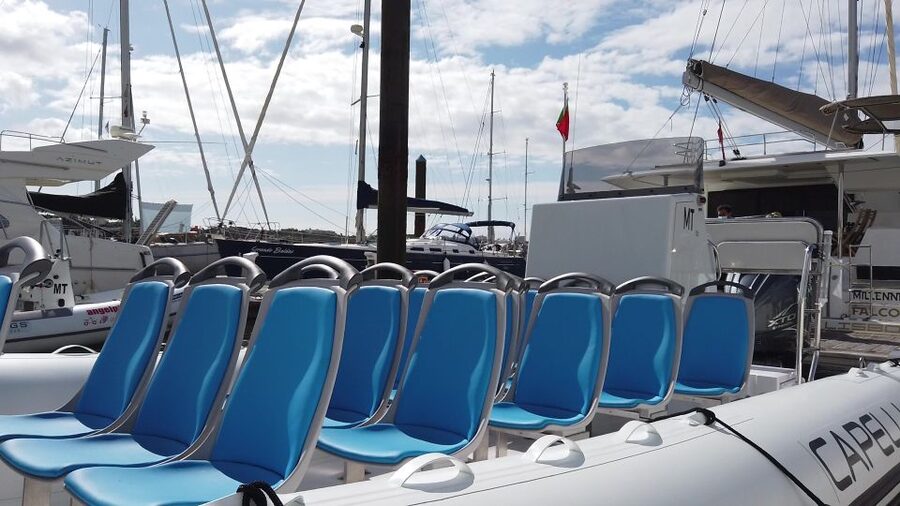 Albufeira: Benagil Cave and Dolphin Sightseeing Boat Cruise - Languages and what the guide adds to your day