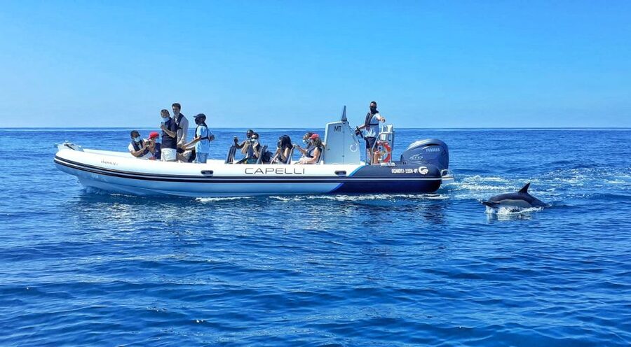 Albufeira: Benagil Cave and Dolphin Sightseeing Boat Cruise - What the boat ride feels like: fast views, real safety, and a possible chill