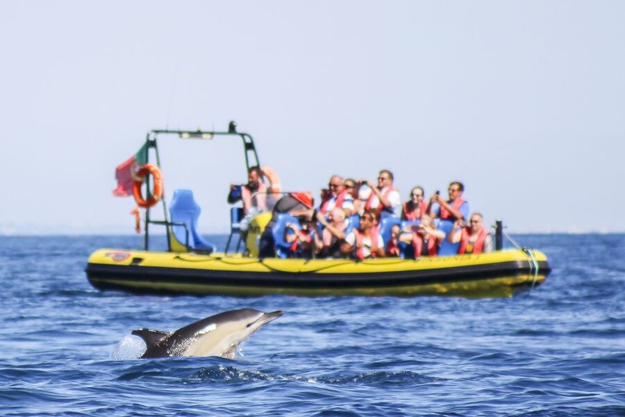 Albufeira: Benagil Caves & Dolphin Watching Speed Boat Tour - Albufeira To Benagil by Speed Boat: The Right Mix of Wild Water and Iconic Rock