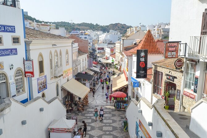 Albufeira: City Highlights & WINE TASTING - Pau da Bandeira Viewpoint: A Quick “Map in Your Head”