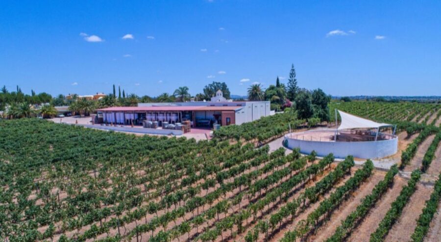Albufeira Coast Tour, Winery & Chicken lunch - Why This 3-Hour Albufeira Coast Tour Pairs Photos, Wine, and Piri Piri