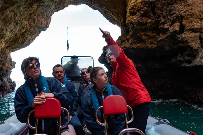 Albufeira: Dolphins and Caves Private Tour - Marine Biologist Commentary, and How to Use It While You Watch