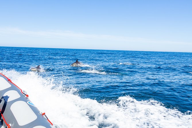 Albufeira: Dolphins and Caves Private Tour - Benagil Caves: What the Photo Stop Really Means