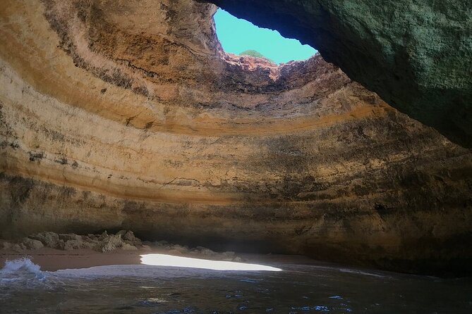Albufeira: Dolphins and Caves Tour - Swim Time and Sea Conditions: When It Happens, When It Doesn’t
