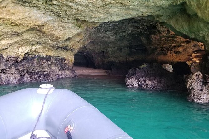 Albufeira: Dolphins and Caves Tour - Choosing Seats and Wearing the Right Stuff on a Speedboat