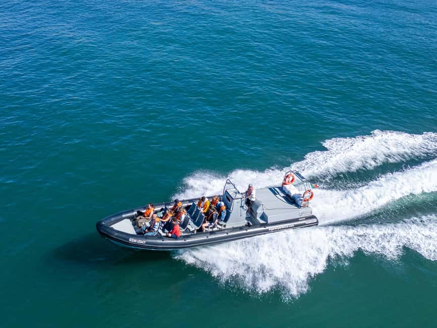 Albufeira: Dolphins, Benagil Caves and Coastline Boat Tour - The Algar de Benagil area: what you’ll see once the coastline turns dramatic