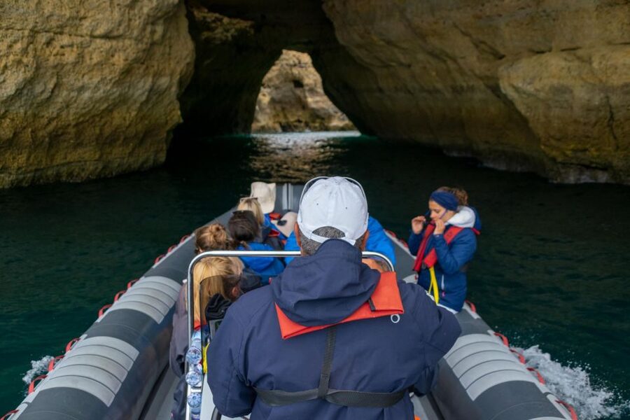 Albufeira: Dolphins, Benagil Caves and Coastline Boat Tour - Dolphins on the open water: what you’re likely to spot and how you’ll feel it