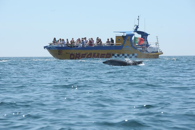 Albufeira Dreamer Boat Trip - Farol de Alfanzina: Lighthouse Views and a Strong End-Section Feeling
