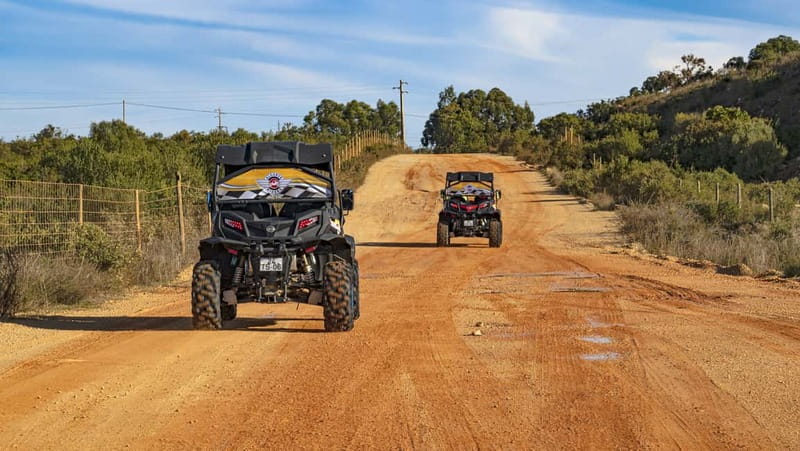 Albufeira: Full Day Off-Road Buggy Tour with Lunch & Guide - Driving Through Real Algarve Terrain, Not Just Pretty Stops