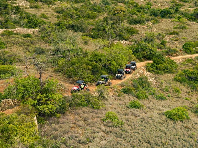 Albufeira: Full Day Off-Road Buggy Tour with Lunch & Guide - Lunch at Quinta do Freixo: Organic Farm Life With Jam Tasting