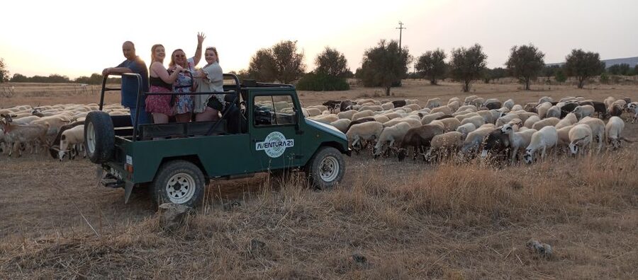 Albufeira: Jeep Safari Half-Day Countryside Tour - Key things I’d zero in on before you go