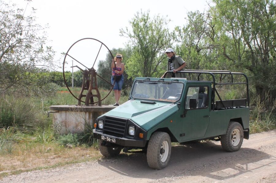 Albufeira: Jeep Safari Half-Day Countryside Tour - The biological farm tasting, medronho, and what to try
