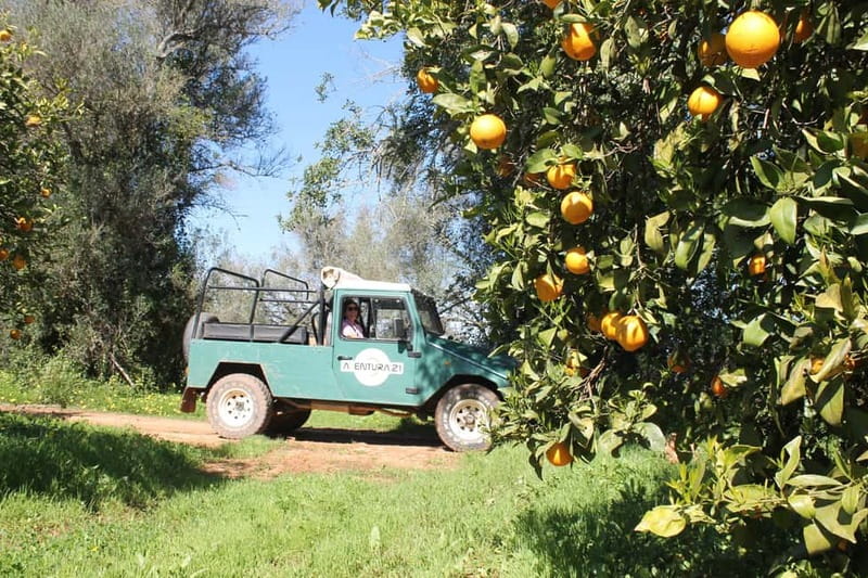 Albufeira Jeep Safari with Zoo - Price and Value: Is $55 a Good Deal for This Mix?