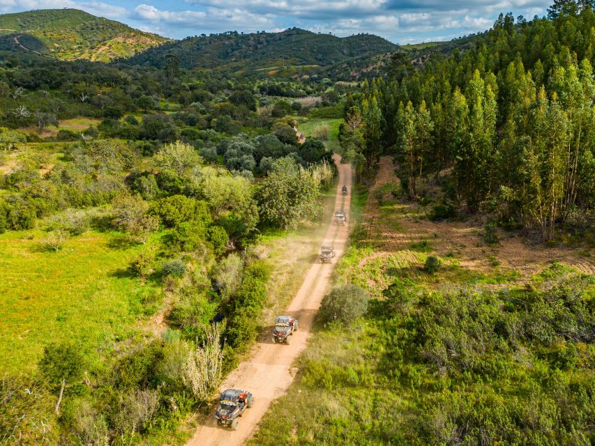 Albufeira: Off-Road Buggy Adventure - Why an Albufeira buggy ride beats another Algarve beach day