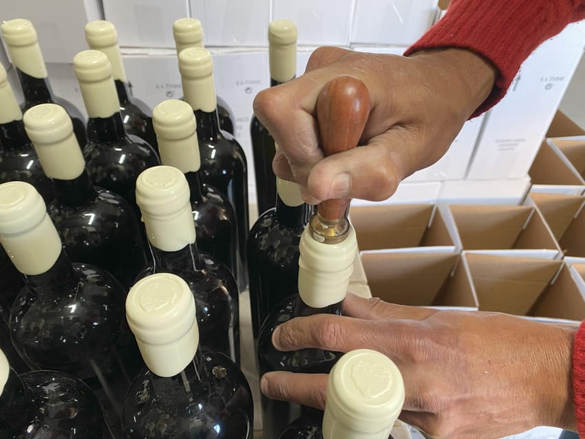 Albufeira/Porches/Vilamoura: Wine Tasting with Tapas & Music - Shopping time: what you can buy after the last sip