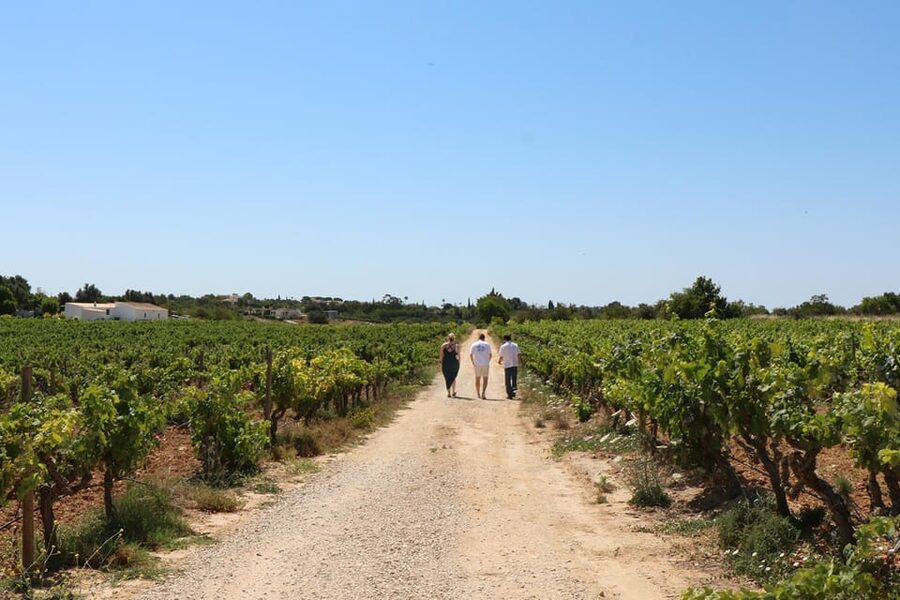 Albufeira/Porches/Vilamoura: Wine Tasting with Tapas & Music - Entering the winery: finding the gate and setting yourself up