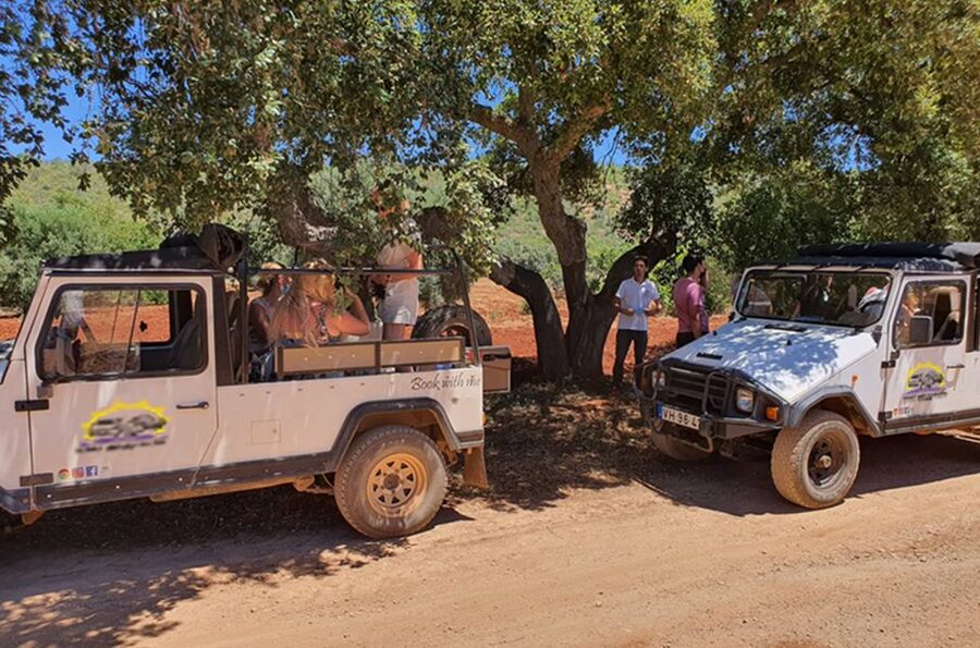 Albufeira: Safari Excursion in the Algarve Mountains - The Roman irrigation clues you will notice as you pass the fruit plantations