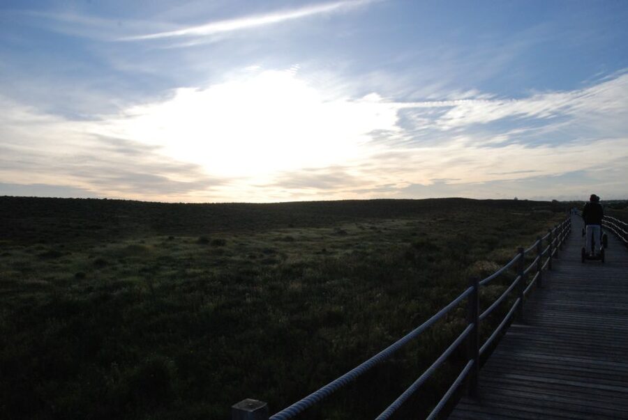 Albufeira: Salgados Nature Reserve Segway Tour - Wooden walkways and cycle areas over marshland