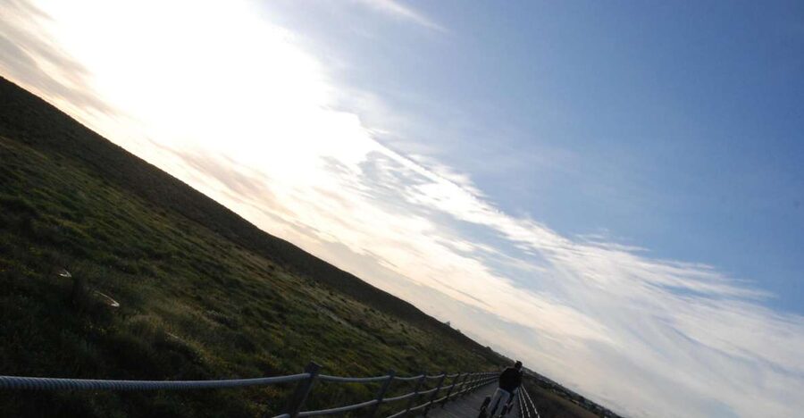 Albufeira: Salgados Nature Reserve Segway Tour - Wildlife spotting in the Algarve high season: what to watch for
