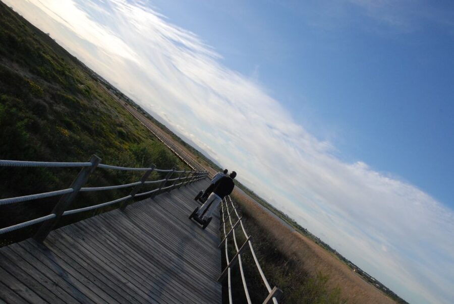 Albufeira: Salgados Nature Reserve Segway Tour - Seasonal tree snacks: figs, almonds, and carobs if the timing hits
