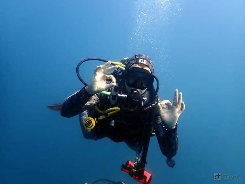 Albufeira: Scuba Diving Experience for Beginners - Boat Trip and Your 12-Meter Open-Water Swim