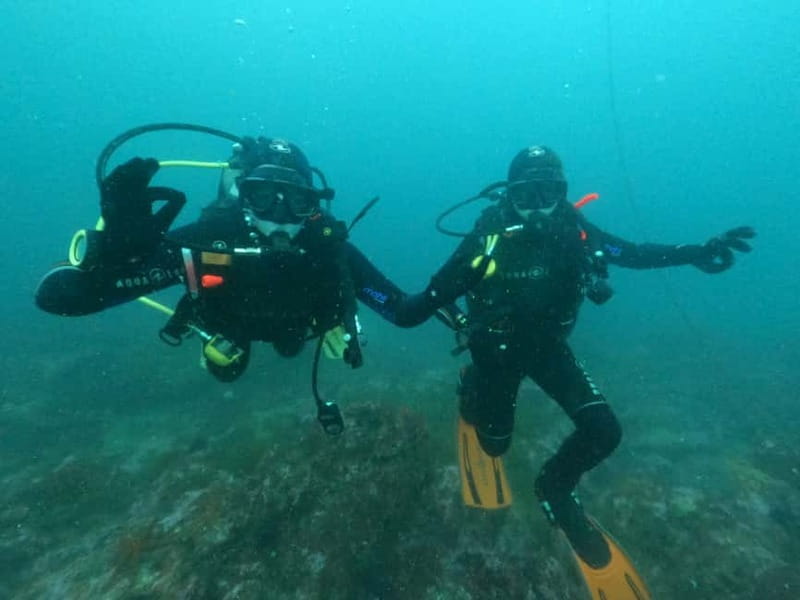 Albufeira: Scuba Diving Experience for Beginners - Price Check: Is $125 Good Value for a First Open-Water Experience?