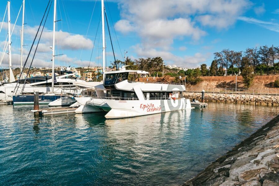 Albufeira: Sightseeing Cruise with Beach BBQ and Open Bar - Beach BBQ Lunch and the Open Bar Where It Counts