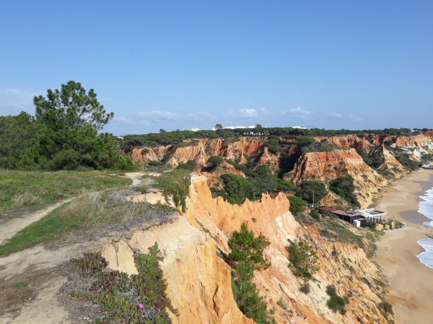 Albufeira: Tuk-tuk Sightseeing Tour - Falesia Beach Break for Views You Actually Want to Photograph