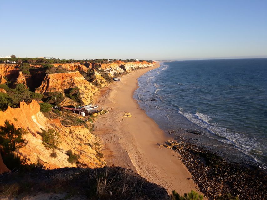 Albufeira: Tuk-tuk Sightseeing Tour - Downtown Albufeira to the Marina and Fishing Port