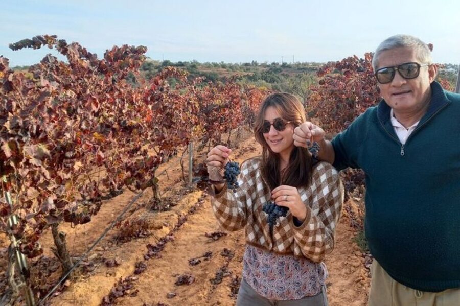 Albufeira/Vilamoura: Winery Tour with Wine Tasting and Tapas - Key Highlights You’ll Care About
