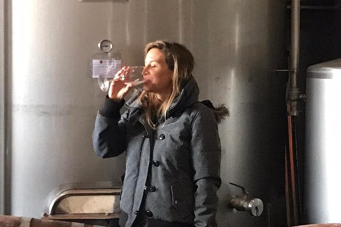 Albufeira Wine Tasting: Boutique Winery Tour & Historic Silves - The Wine Flight: Red, White, Rosé, and Light Snacks