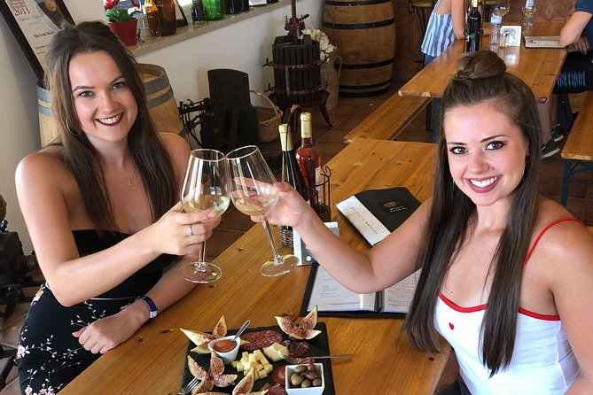 Albufeira Wine Tour: 2 Vineyards, 6 Tastings & Historic Silves - What You Actually Get for the Price, and What You Still Need to Budget