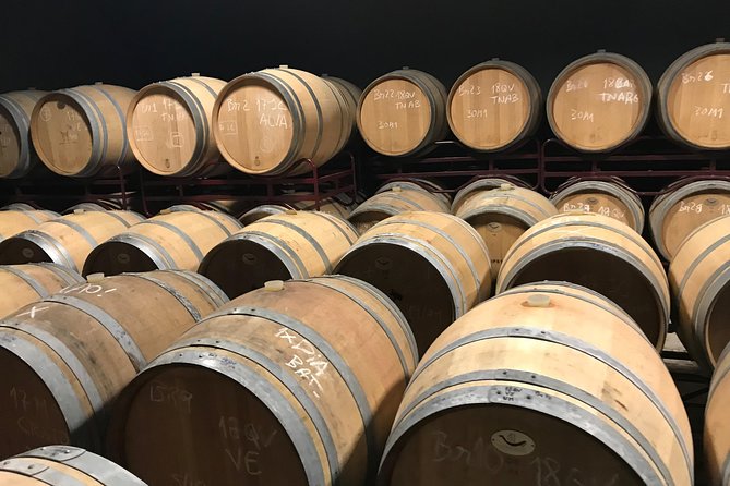 Albufeira Wine Tour: 2 Vineyards, 6 Tastings & Historic Silves - Group Size, Comfort, and the Role of the Guide